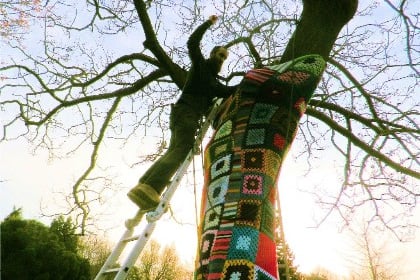 A tree with a 'yarn' to tell