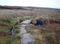 Vital work to Severn Way walk almost complete says Powys County Council