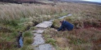 Vital work to Severn Way walk almost complete says Powys County Council