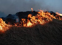 More than 700 grass fires reported in Gwent this summer