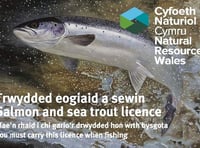 NRW patrols target illegal anglers