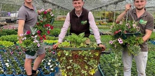 Garden centre blooming back after lockdown