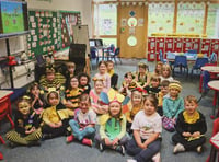 Abergavenny pupils celebrate World Bee Day