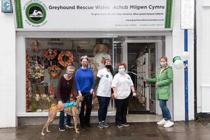 Greyhound 2024 trust shop