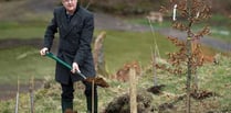 First Minister announces commemorative woodlands in memory of Covid victims