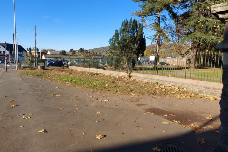 Bailey Park after some of the trees were taken down