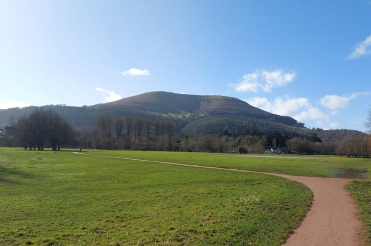 Castle Meadows