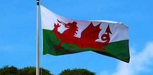 VIDEO: Happy St David's Day from the Borough and Melville 