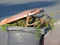 Last few weeks for garden waste collections in Powys
