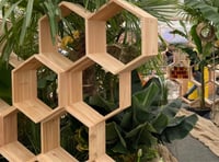 Bee charity wins silver medal at Chelsea Flower Show