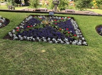 Jubilee flowerbed blooms into full colour in park