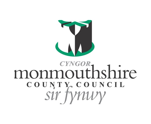 Adult social care in Monmouthshire to be reviewed