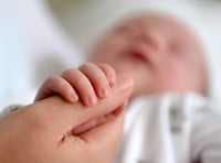 Fertility rate rises in Monmouthshire