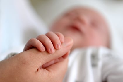 Fertility rate rises in Monmouthshire