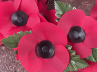 Poppy Appeal volunteers needed