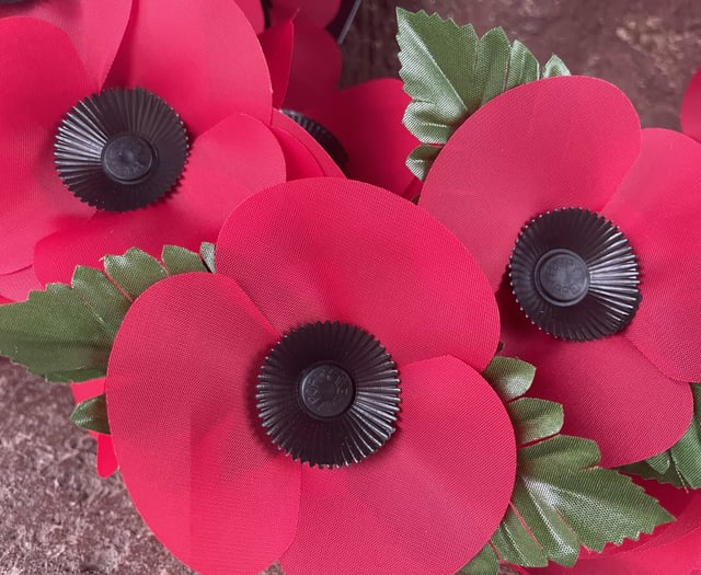 Poppy Appeal volunteers needed