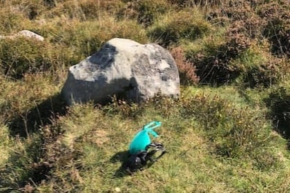 Visitors disgusted by beauty spot dog waste