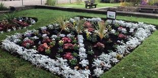 Bailey Park volunteers thank Abergavenny Garden Centre