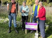 Turning Abergavenny purple