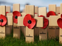 Politicians pay tribute to war heroes on Armistice Day