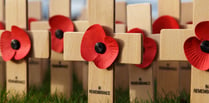 Politicians pay tribute to war heroes on Armistice Day