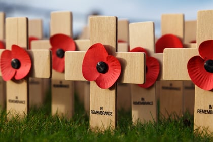 Politicians pay tribute to war heroes on Armistice Day