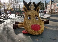 Nevill Street reindeer falls foul of vandals