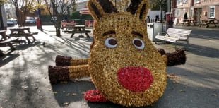 Nevill Street reindeer falls foul of vandals