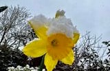 VIDEO: Readers send in their Abergavenny snow day photos 