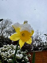 VIDEO: Readers send in their Abergavenny snow day photos 