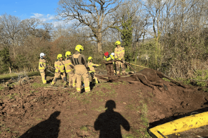 Crews from Abergavenny and Merthyr rescue horse 