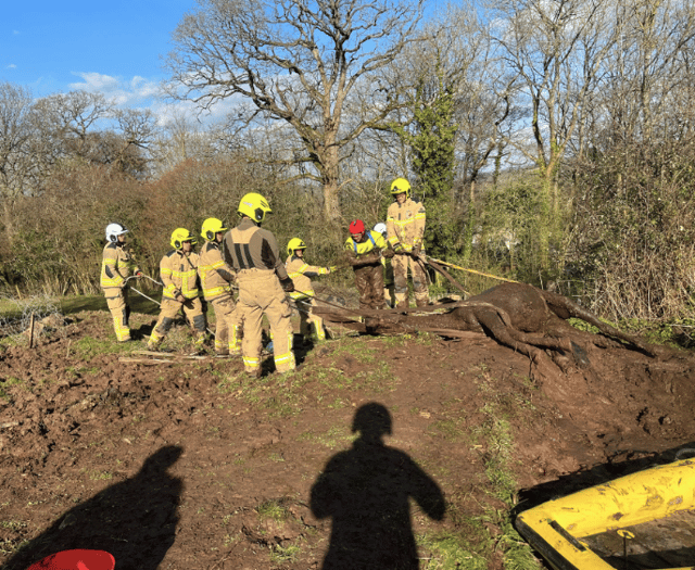 Crews from Abergavenny and Merthyr rescue horse 