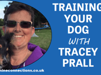 Training your dog with Tracey Prall - the importance of sleep 