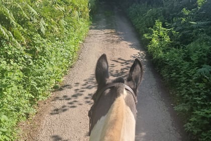Overgrown bridleways creates issue for charity horse ride 