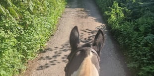 Overgrown bridleways creates issue for charity horse ride 