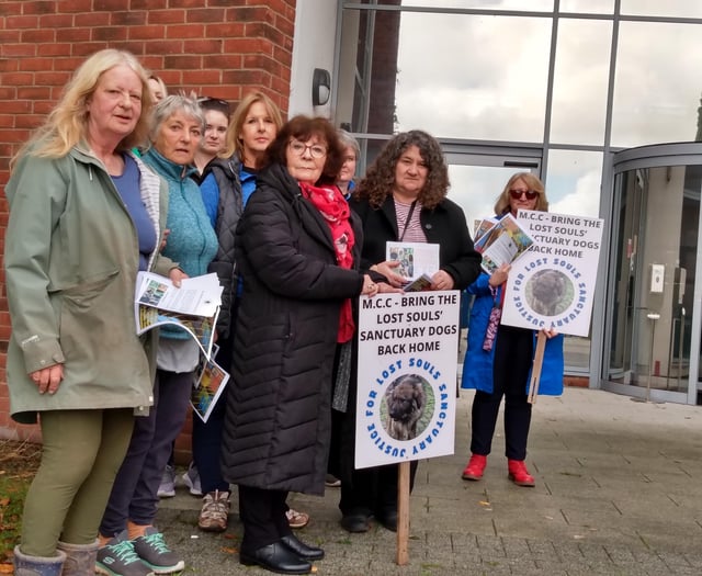 Raided animal sanctuary supporters picket Monmouthshire County Hall 