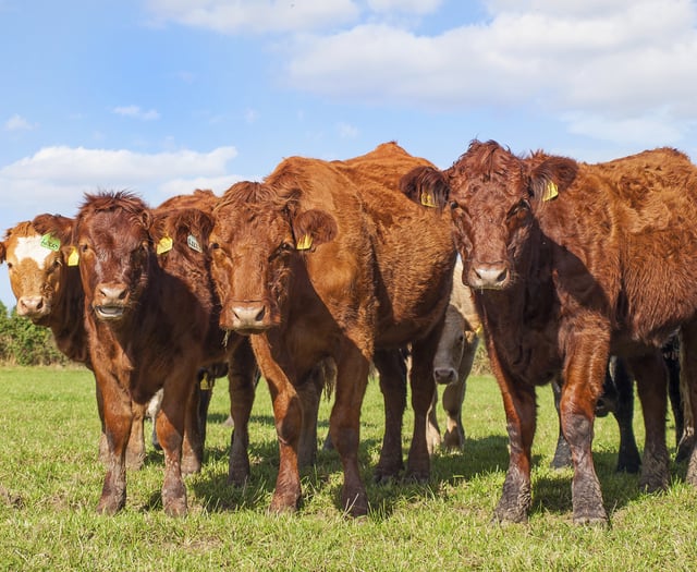 Farm safety warning for the spring time