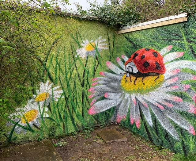 
Bailey Park explodes in a riot of colour with new mural! 