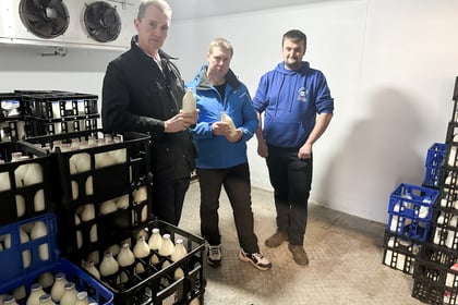 Staff hours cut as Raglan Dairy feels effect of MCC contract loss