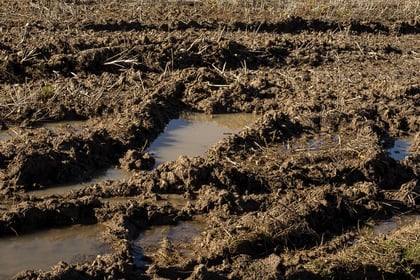Report highlights extreme weather risks to Welsh farming