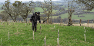 Abergavenny based charity continue mission to plant 1 million trees