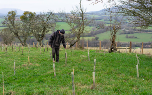 Abergavenny based charity continue mission to plant 1 million trees