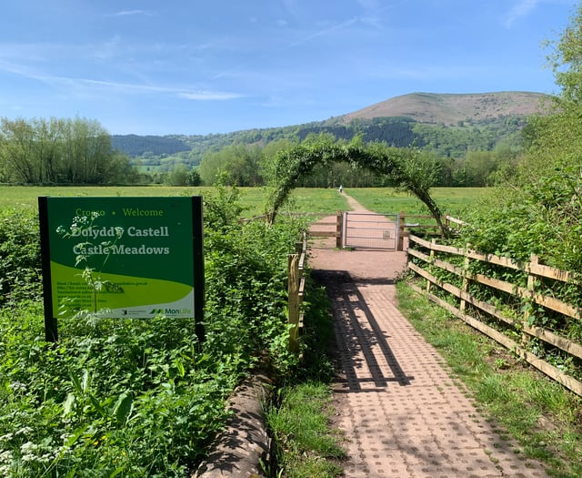 
Public opinion continues to swing against cattle grids in the Meadows