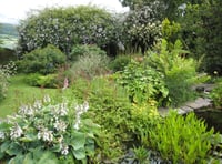 Gardens open to visitors over the summer