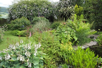 Gardens open to visitors over the summer