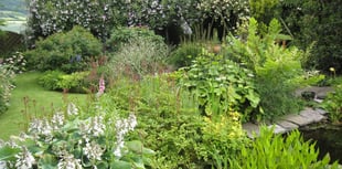 Gardens open to visitors over the summer