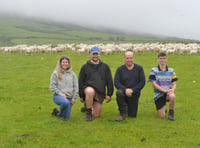 Sheep involved in genetics scheme finishing lambs earlier than normal