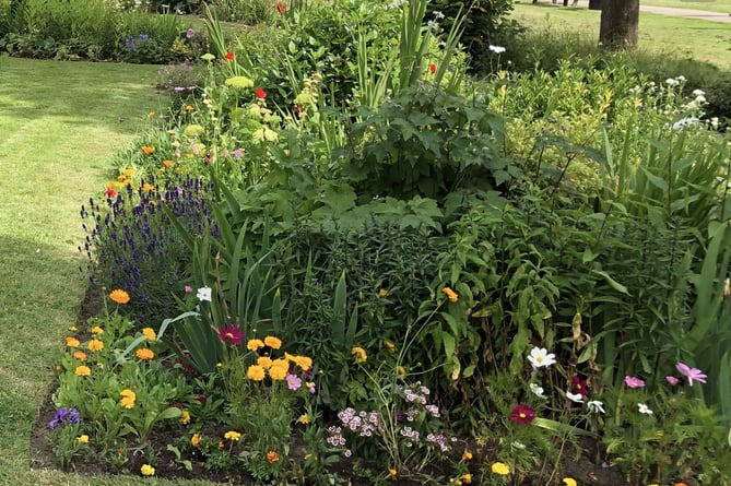 Flowers Aber in Bloom