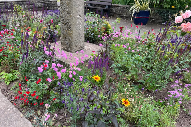 Flowers in Bailey Park