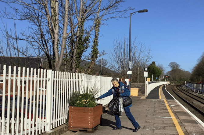 Aber in bloom